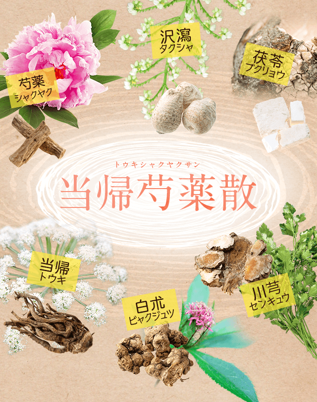 当帰芍薬散